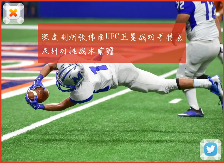 深度剖析张伟丽UFC卫冕战对手特点及针对性战术前瞻
