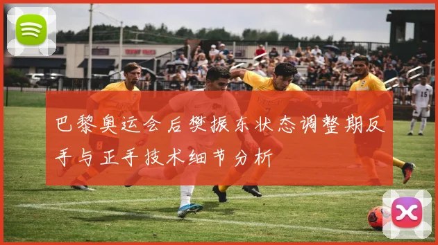 巴黎奥运会后樊振东状态调整期反手与正手技术细节分析