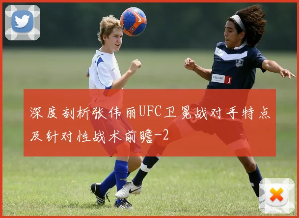 深度剖析张伟丽UFC卫冕战对手特点及针对性战术前瞻