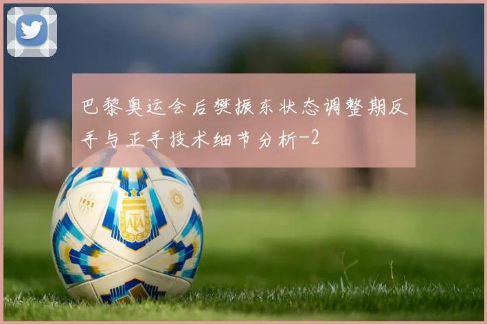 巴黎奥运会后樊振东状态调整期反手与正手技术细节分析