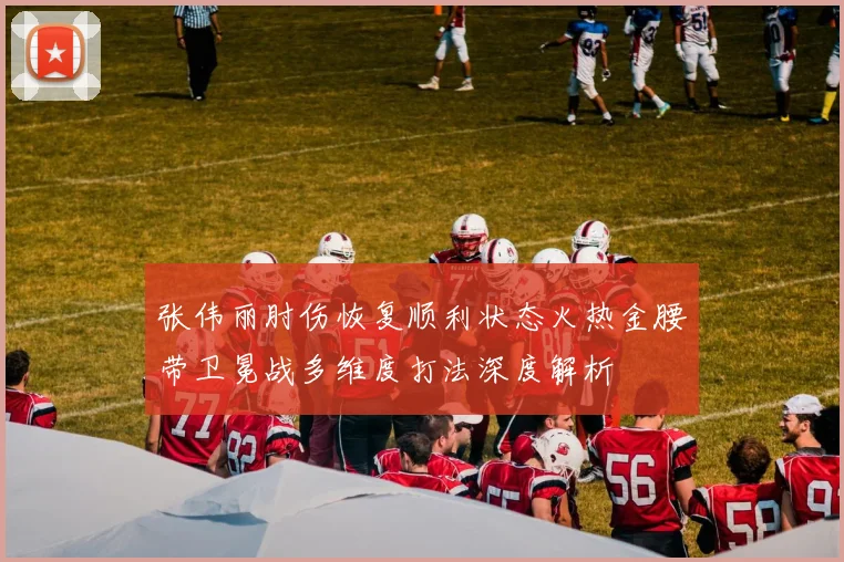 张伟丽肘伤恢复顺利状态火热金腰带卫冕战多维度打法深度解析